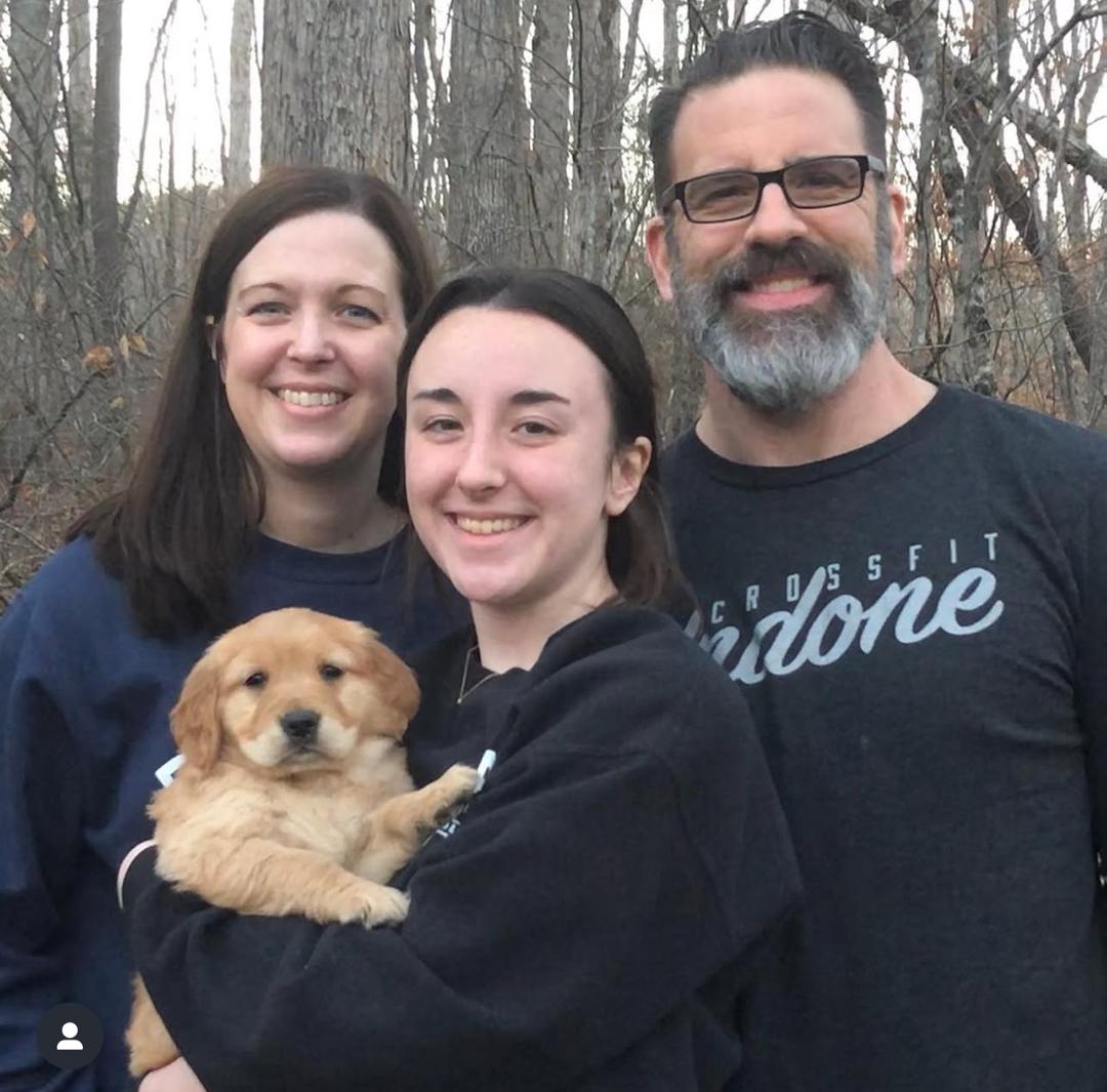 Golden retriever at the beach