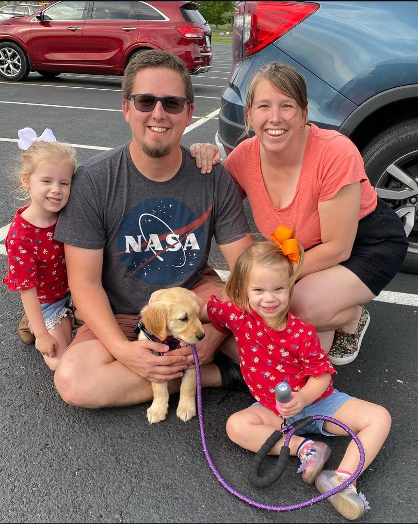 Golden retriever mom with puppies